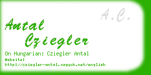 antal cziegler business card